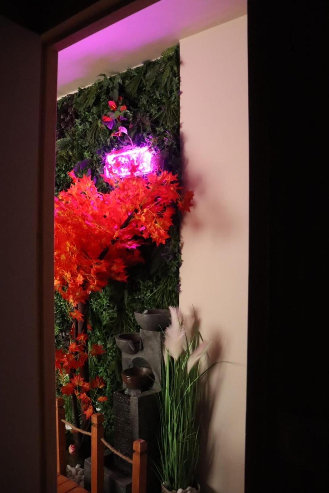 Loveroom Japon Avec Balneotherapie Toulon Kültér fotó