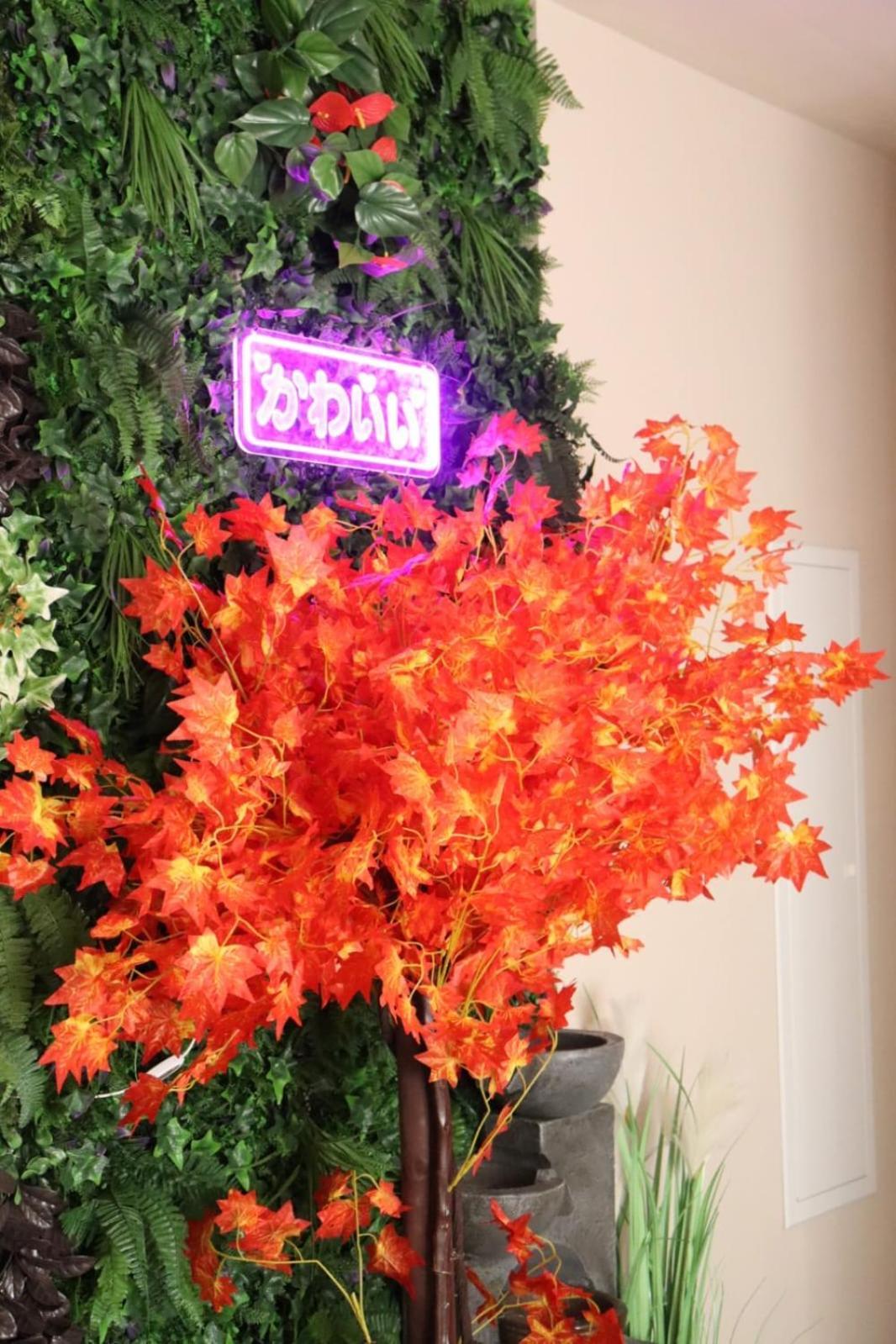 Loveroom Japon Avec Balneotherapie Toulon Kültér fotó